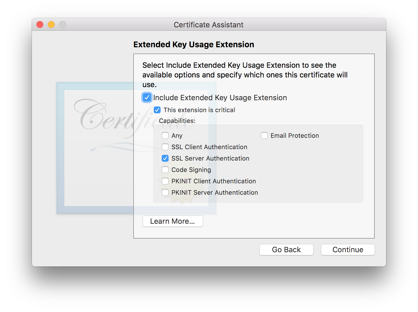 Extended Key Usage Extension